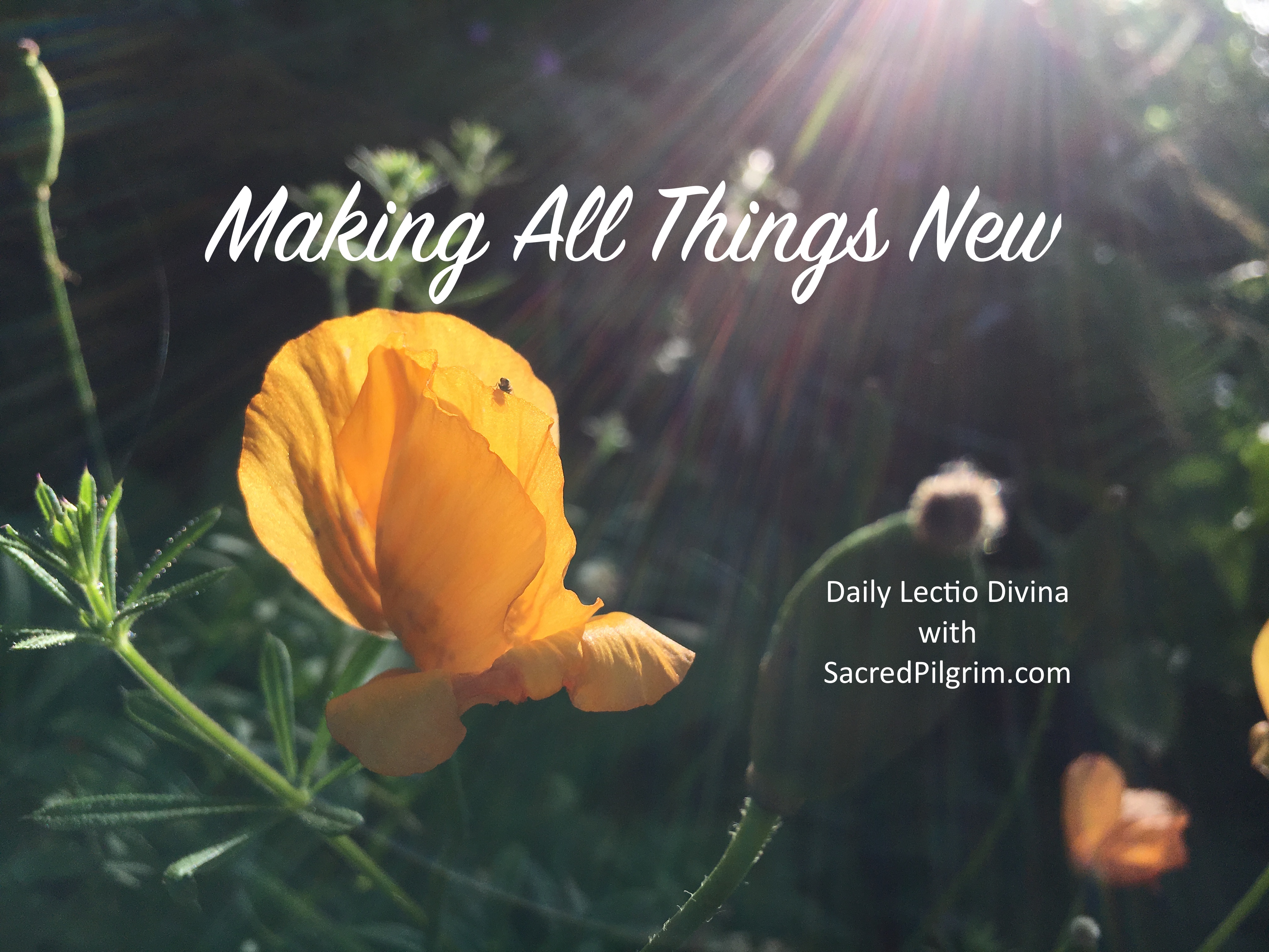 Making All Things New